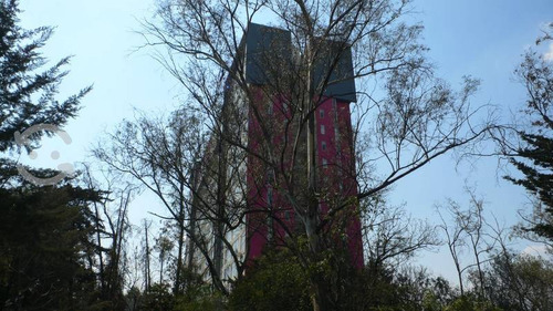 Imagen 2 de 14 de Av. Tamaulipas - Hir Residencial Botani-k