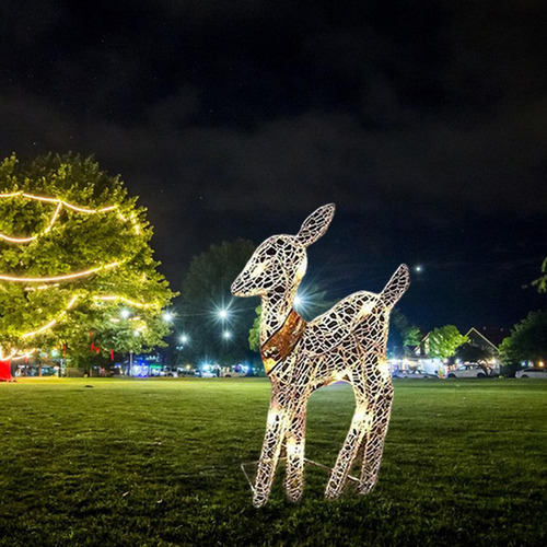 Bl Gsd Christmas Time Navidad Renos Luz Navidad Jardín Luces