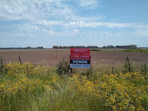 Campo En Venta En San Pedro