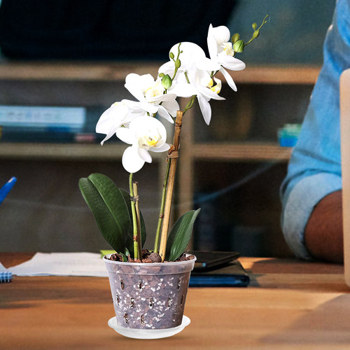1 Juego De Macetas Transparentes Para Orquídeas, De Plástico