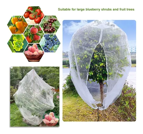 Bolsas De Malla Para Árboles Frutales De 10 Pies X 10 Pies