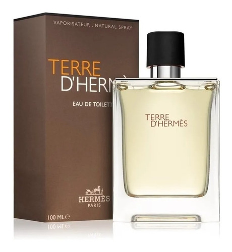 Imagen 1 de 9 de Perfume Hermes Terre Dhermes - Edt 100ml -caballero