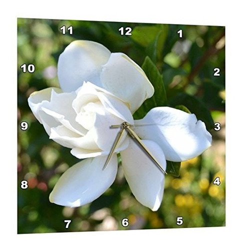 Naturalezas Expresion De Un Reloj De Pared Gardenia 15 ...