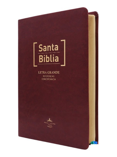 Biblia Reina Valera 1960 Letra Grande Concordancia