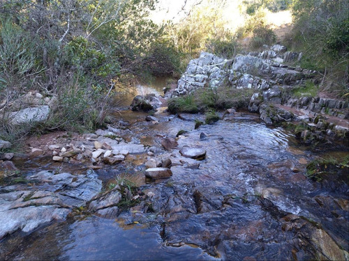 Imagen 7 de 12 de Chacras Valdivias Cw196233