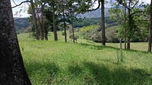 Vendo Finca Ganadera En Restrepo Valle