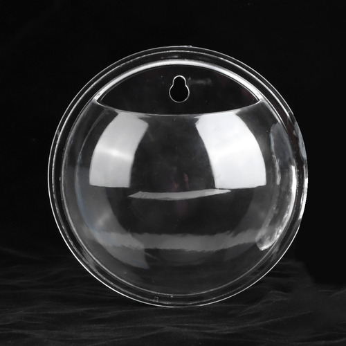 Mini Pecera De Acrílico Transparente Para Colgar En La Pared