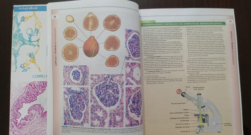 Histología Ross 8va