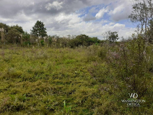 Imagem 12 de 21 de Chácara À Venda, 8500 M² Por R$ 260.000,00 - Zona Rural - São José Dos Pinhais/pr - Ch0060