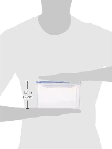 Cerradura Y Cerradura - Recipiente Rectangular Hermético Par