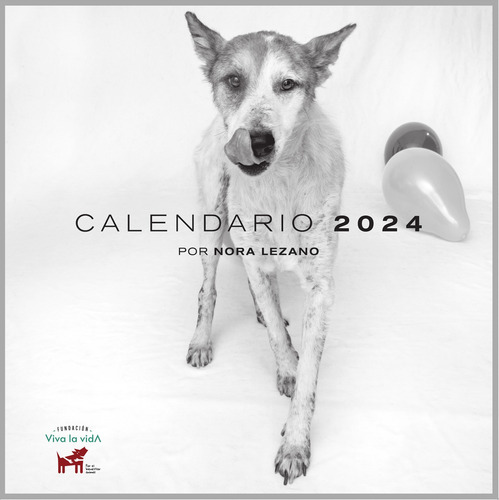 Calendario 2024 A Beneficio De Fundación Viva La Vida
