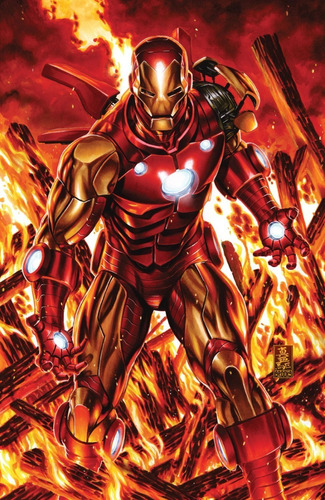 Poster Iron Man Varios Modelos