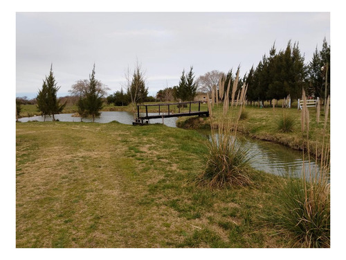 Imagen 4 de 27 de Campo Venta 3 Cabañas Pileta, Laguna, Cancha De Fútbol, Arbolada -1.8 Hectáreas - Magdalena