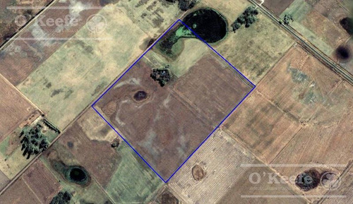 Imagen 15 de 18 de Chacra En Venta De 40 Has - En Saladillo Campo Mixto Con Mejoras