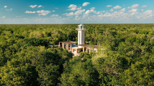 Venta De Terrenos En Senderos Poniente, Ciudad Mayakoba De 168 M2, Luxury