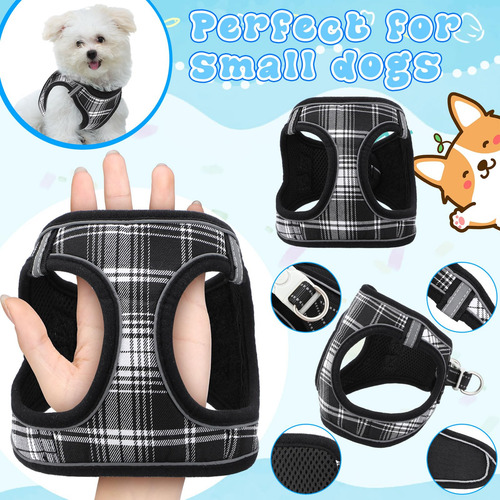 Jgo 11 Pzas Arnés Y Collar Antitirones Para Perros Kit De In
