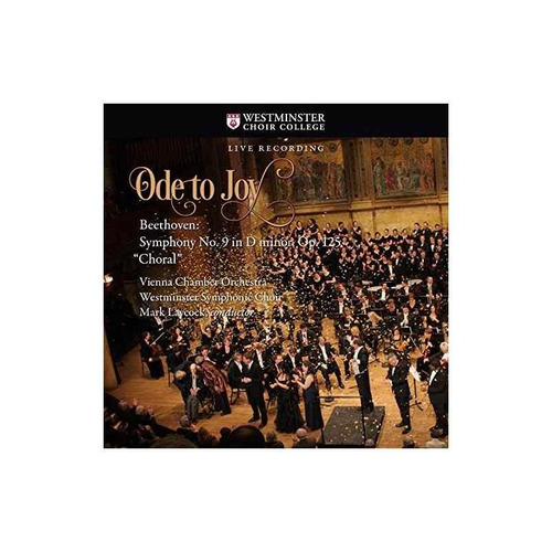 Beethoven/vienna Chamber Orchestra Ode To Joy/beethoven Symp