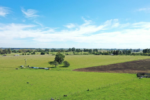 Imagen 2 de 30 de Campo Sobre Autopista Ruta 14 Colón Entre Ríos