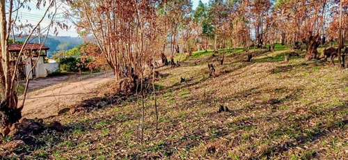 Imagem 12 de 15 de Terreno A Venda No Bairro Loteamento Colinas Verdes - Atibaia, Sp - 328