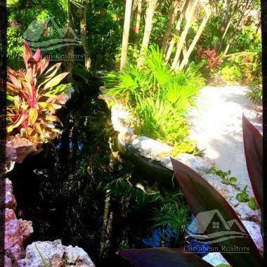 Imagen 13 de 18 de Casa En Venta En Soliman Tankah