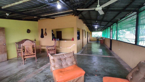 Imagen 3 de 14 de Venta Finca, Guigue Planta Cod. 155496