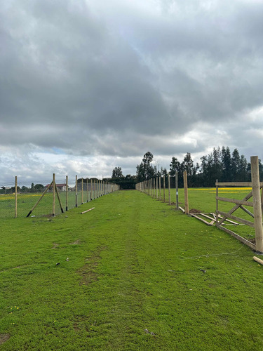 Terrenos 5.000mts2 Rol Propio Limache Sector Los Laureles