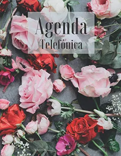  Agenda Telefónica Abecedario: Libreta de direcciones y  contactos telefónicos ordenación de la A-Z, 312 registros, Agenda de  teléfonos vintage