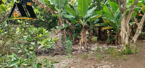 Imagem 9 de 10 de Chácara Para Venda Em Pinhalzinho, Zona Rural - 13_1-2373352