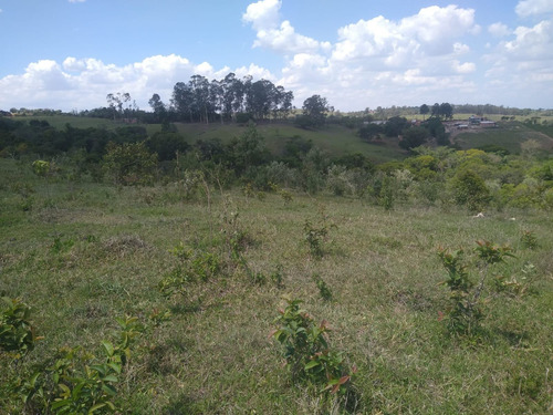 Imagem 7 de 13 de Sítio 6,5 Alqueires, Rica Em Água Com Lago, Casa Sede Com 90m2, 2 Dormitórios, Sítio Ótimo Para Pecuária, Ótima Localização - St00153 - 70457381