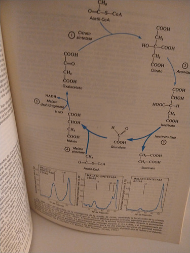 Libro Fundamentos De Biología Celular Y Molecular De Roberti (Usado)