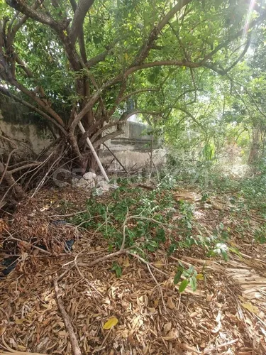 Casa En Venta, Centro De Mérida, Yucatán