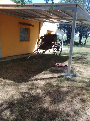 Imagen 23 de 23 de Campo - Alsina