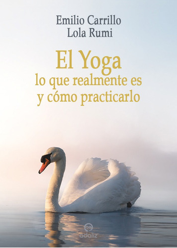 Yoga Lo Que Realmente Es Y Como Practicarlo,el - Carrilo ...