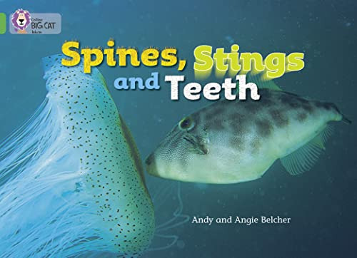 Libro Spines Stings And Teeth Band 5 Big Cat De Belcher Angi