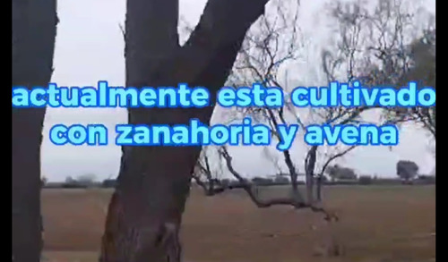 Rancho En Venta O Renta Irapuato