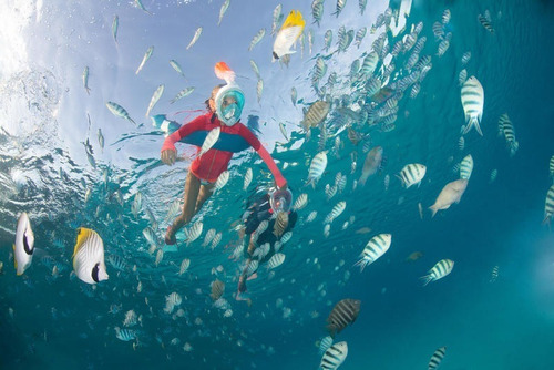 Imagen 2 de 3 de Flotador Boya Para Mar, Inflable, Adultos Y Niños