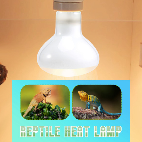 Paquete De 2 Bombillas Térmicas Uvb Uva Reptile Para Reptil
