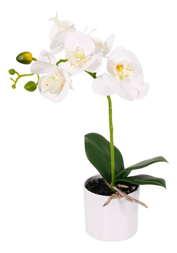 Livilan Arreglo Floral Artificial Orquidea Blanca Jarron