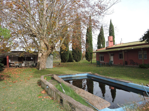 Imagen 10 de 17 de 3,6 Ha Casa Quinta En Veronica Con Galpon Y Local Comercial