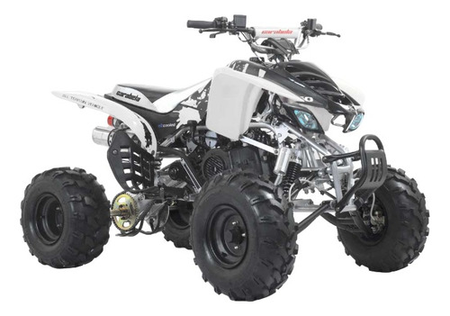 Tensor De Cadena Con Rodillo Original Carabela Gorilla 150