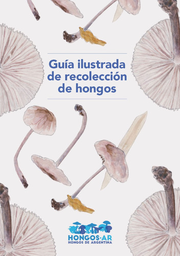 Guía Ilustrada De Recolección De Hongos