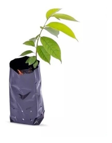 Saco Plástico Para Mudas De Plantas 8x15 Cm - 1250 Sacos