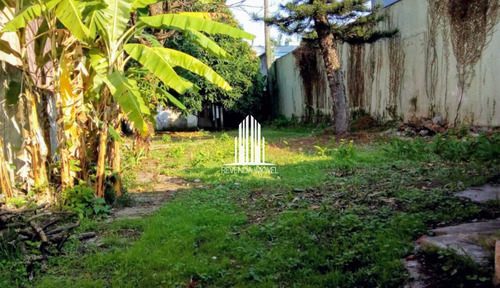Imagem 3 de 10 de Oportunidade De Terreno Para Alugar Com 700m² E Casa Antiga Nos Fundos - Campo Belo - Mz8086