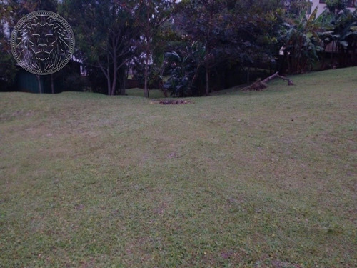Imagem 5 de 15 de Terreno - Ribeirao Da Ilha - Ref: 1483 - V-1520