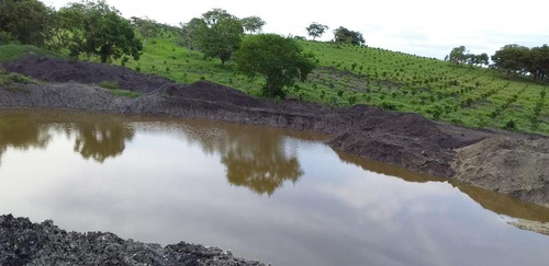 Venta Rancho 132 Hectareas Balcazar Tamiahua Veracruz