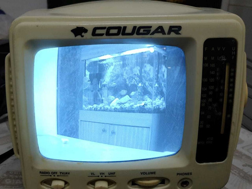 Tv Portátil Cougar - Ctv-450-w