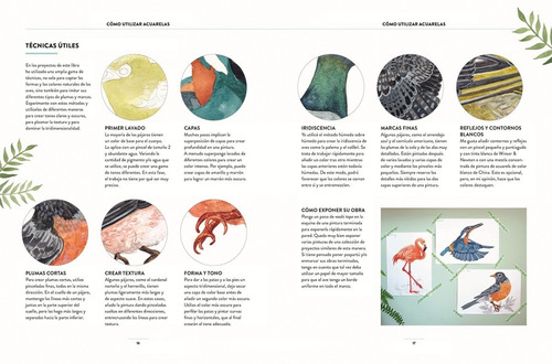 Pintar Acuarelas En 10 Pasos : Aves - Pintar 25 Aves