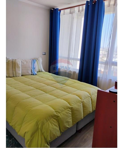 Vive En Macul: Departamento Mariposa Amoblado