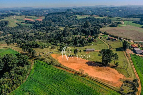 Imagem 25 de 28 de Chácara Com 2 Dormitórios À Venda, 121000 M² Por R$ 2.500.000,00 - Roça Nova - Araucária/pr - Ch0006