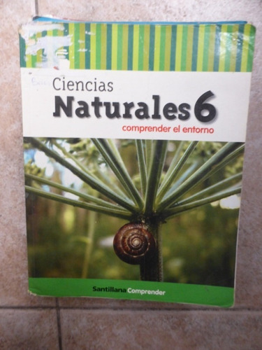 Ciencias Naturales 6 Comprender El Entorno - Santillana 2007